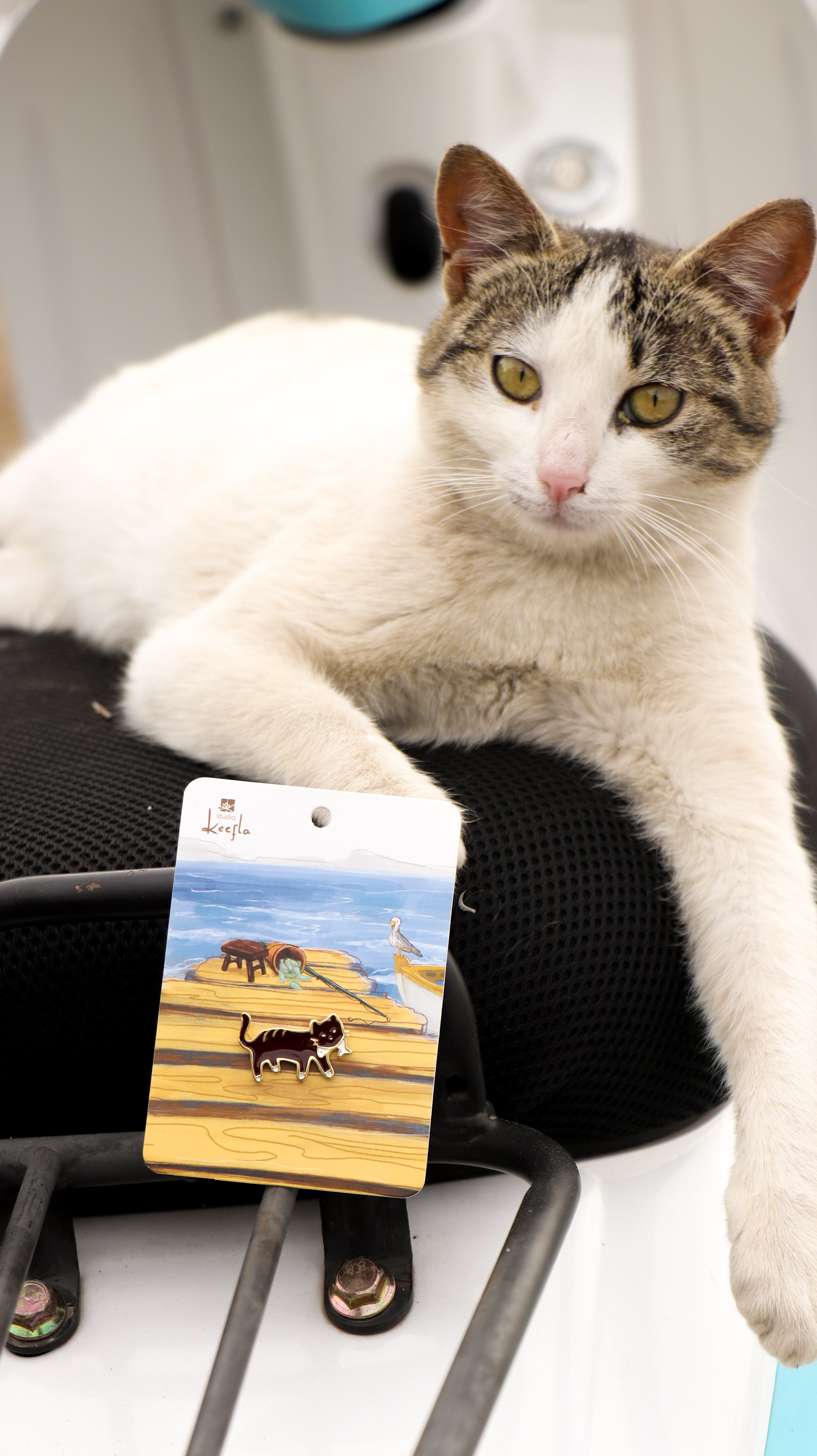 Tekir Kedi Broş